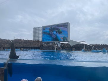 名古屋港水族館に投稿された画像（2024/6/21）