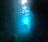 武藤潜水に投稿された画像（2024/6/21）