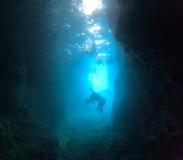 武藤潜水に投稿された画像（2024/6/21）