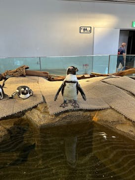 NIFREL（ニフレル）に投稿された画像（2024/6/21）