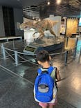 福井県立恐竜博物館に投稿された画像（2024/6/21）