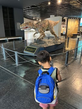 福井県立恐竜博物館に投稿された画像（2024/6/21）