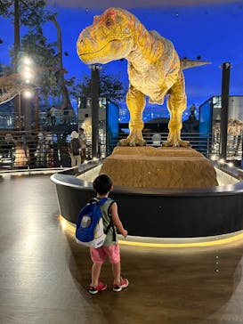 福井県立恐竜博物館に投稿された画像（2024/6/21）
