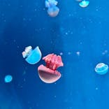 AOAO SAPPOROに投稿された画像（2024/6/21）