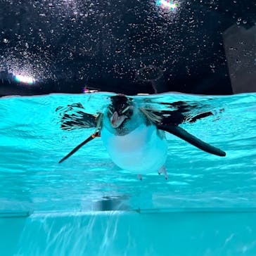 AOAO SAPPOROに投稿された画像（2024/6/21）