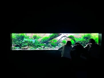 AOAO SAPPOROに投稿された画像（2024/6/21）