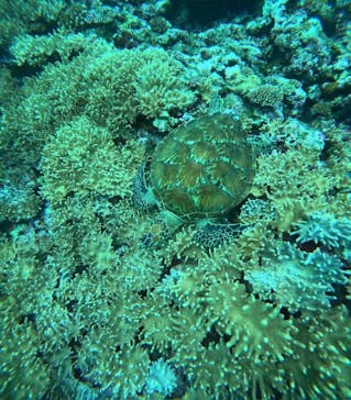  マリンショップHAPPYに投稿された画像（2024/6/21）