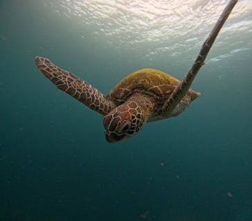  マリンショップHAPPYに投稿された画像（2024/6/21）