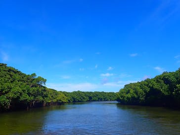 石垣島 ADVENTURE PiPi（イシガキジマアドベンチャーピピ）に投稿された画像（2024/6/21）