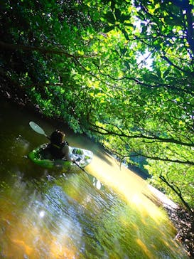 石垣島 ADVENTURE PiPi（イシガキジマアドベンチャーピピ）に投稿された画像（2024/6/21）