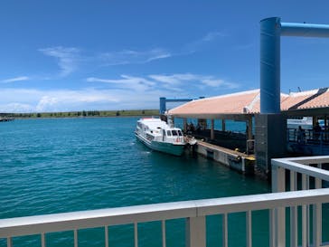 石垣島 ADVENTURE PiPi（イシガキジマアドベンチャーピピ）に投稿された画像（2024/6/21）