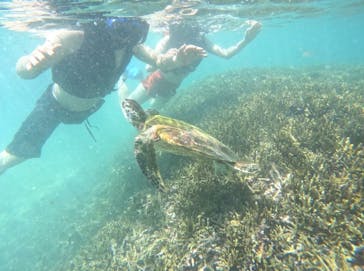 宮古島 ADVENTURE PiPi（ミヤコジマ アドベンチャー ピピ）に投稿された画像（2024/6/21）