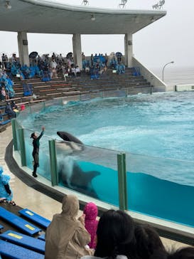 鴨川シーワールドに投稿された画像（2024/6/21）