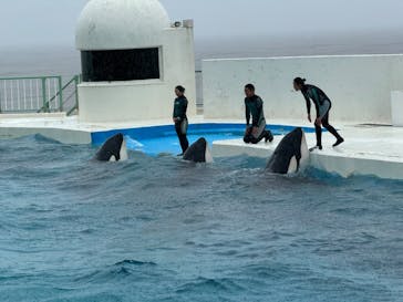鴨川シーワールドに投稿された画像（2024/6/21）
