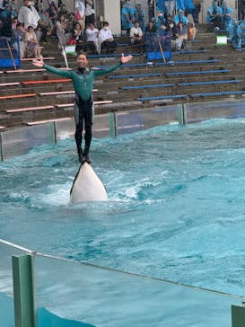 鴨川シーワールドに投稿された画像（2024/6/21）