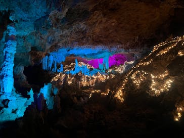 石垣島鍾乳洞に投稿された画像（2024/6/21）