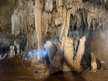 石垣島鍾乳洞に投稿された画像（2024/6/21）