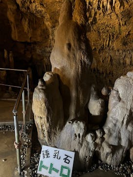 石垣島鍾乳洞に投稿された画像（2024/6/21）