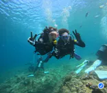 武藤潜水に投稿された画像（2024/6/21）