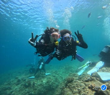 武藤潜水に投稿された画像（2024/6/21）