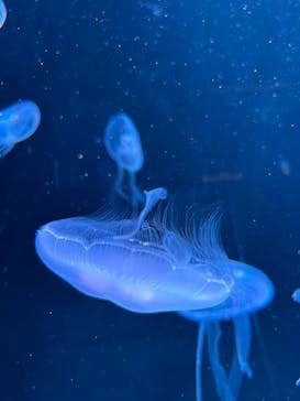 AOAO SAPPOROに投稿された画像（2024/6/21）