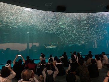 名古屋港水族館に投稿された画像（2024/6/21）