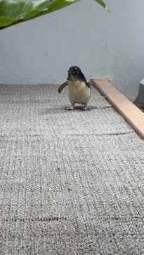 AOAO SAPPOROに投稿された画像（2024/6/21）