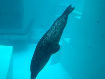 マリンワールド海の中道に投稿された画像（2024/6/21）