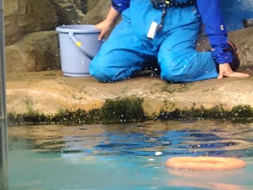 マリンワールド海の中道に投稿された画像（2024/6/21）