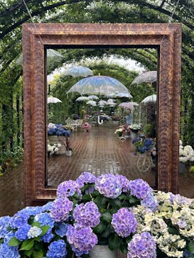 横浜イングリッシュガーデンに投稿された画像（2024/6/21）