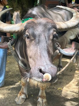 ビオスの丘に投稿された画像（2024/6/21）