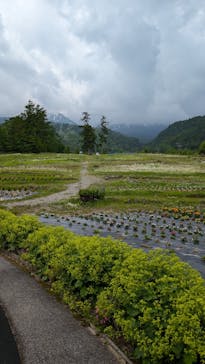 おんたけロープウェイに投稿された画像（2024/6/21）