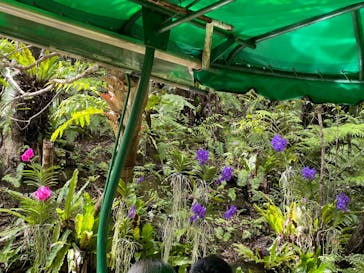 ビオスの丘に投稿された画像（2024/6/21）