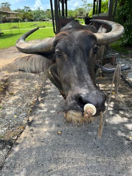 ビオスの丘に投稿された画像（2024/6/21）