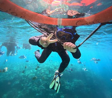 マリンクラブジジに投稿された画像（2024/6/21）