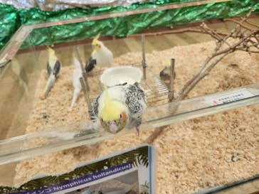 いきもの探検隊湘南に投稿された画像（2024/6/21）