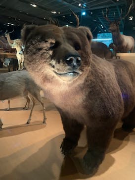 国立科学博物館に投稿された画像（2024/6/21）