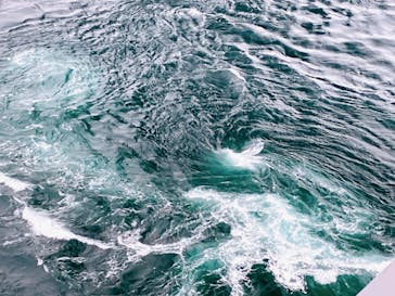 徳島県立 渦の道に投稿された画像（2024/6/21）