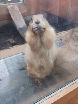 横浜・八景島シーパラダイスに投稿された画像（2024/6/21）