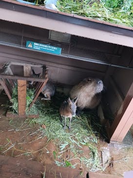 横浜・八景島シーパラダイスに投稿された画像（2024/6/21）