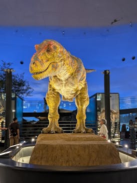 福井県立恐竜博物館に投稿された画像（2024/6/21）