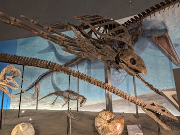 福井県立恐竜博物館に投稿された画像（2024/6/21）