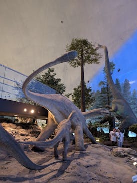 福井県立恐竜博物館に投稿された画像（2024/6/21）