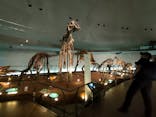 福井県立恐竜博物館に投稿された画像（2024/6/21）