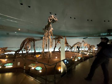 福井県立恐竜博物館に投稿された画像（2024/6/21）