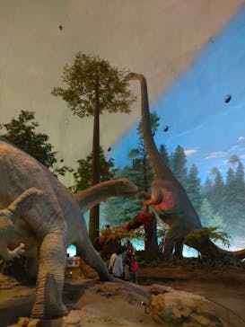福井県立恐竜博物館に投稿された画像（2024/6/21）