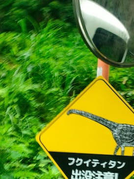 福井県立恐竜博物館に投稿された画像（2024/6/21）