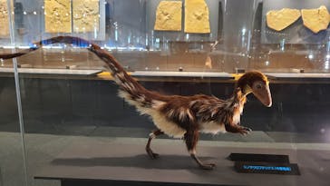 福井県立恐竜博物館に投稿された画像（2024/6/21）