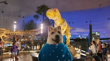 福井県立恐竜博物館に投稿された画像（2024/6/21）