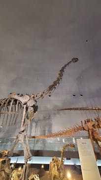 福井県立恐竜博物館に投稿された画像（2024/6/21）